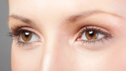 Close-up big brown female eyes with eyelashes