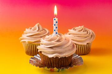 Birthday cupcake with a candle