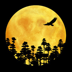 Moonrise over the forest. Calm night illustration