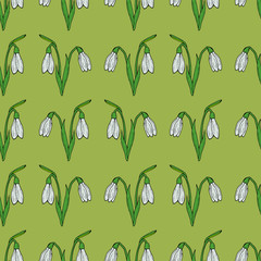 Seamless background of vector snowdrops on green background. Endless pattern with flower for your design.