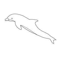 Obraz premium vector, isolated, sea dolphin outline