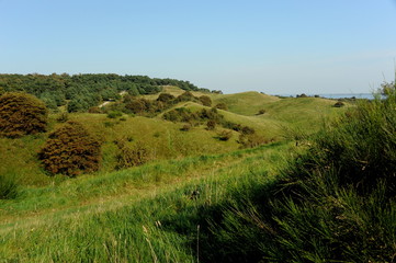 Obraz premium Insel Hiddensee, Blick vom Dornbusch