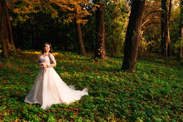Obraz na płótnie Canvas beautiful bride in a chic dress in the autumn park
