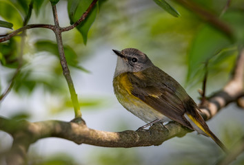 MageeMarchImages