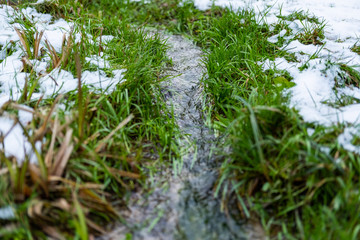 spring stream with clean water , last snow and fresh green grass