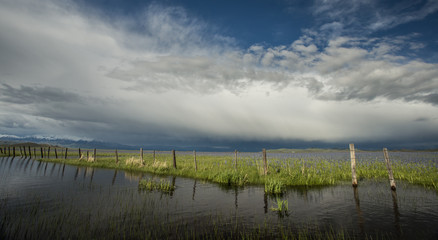 Obraz premium Camas Prairie, Idaho
