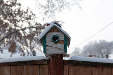 birdhouse on snow