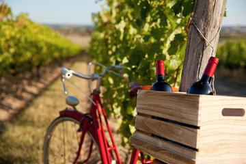 Vélo et bouteille de vin dans les vigne en France.