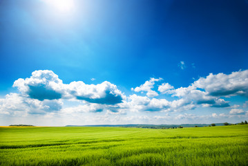 Day natural view at German pastures and cornfields under blue cloudy skies spring time