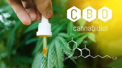 Pipette in the hands with hemp CBD oil. Beautiful background with CBD Cannabidiol concept of...
