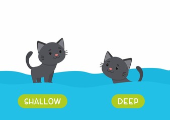 Fototapeta premium Little black cat swimming cartoon illustration. Educational english flash card with antonyms flat vector template. Childish memo cards for language learning concept. Opposites, deep and shallow words.