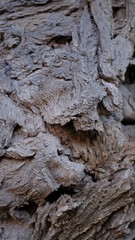  Wood texture. Objects from the boards. Background wood background for design