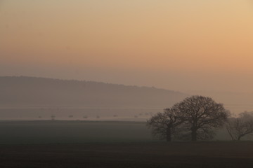 Fototapeta na wymiar New Years sunrise in East of England. Orwell River