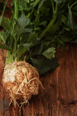 Fresh celery root on wooden background