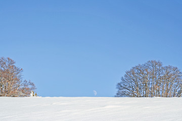 Fototapeta na wymiar snowy winter landscape with trees on a clear day with moon in the background