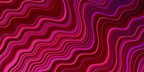 Dark Purple, Pink vector background with curved lines.