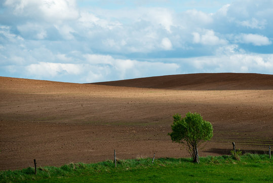 Mazury garbate 19