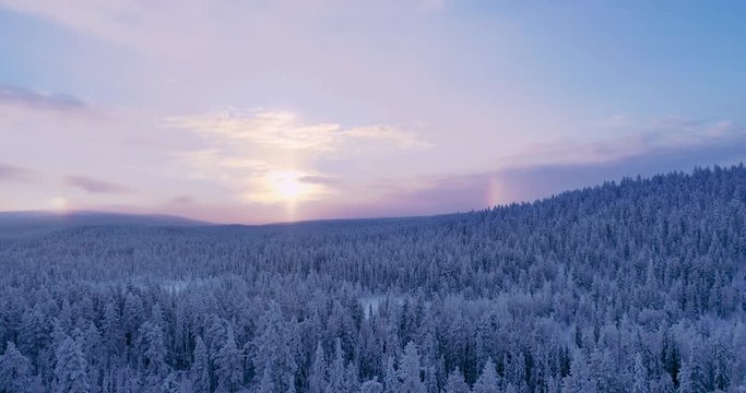 Drone aerial view of a sunrise over vast boreal forest at winter morning in finland. 4K footage