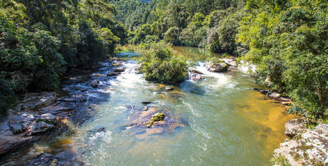 Paisagem com rio e floresta