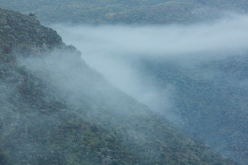 Faia Brava private reserve, Portugal, Europe