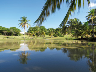 Fototapeta na wymiar Tropical park with palm trees reflected in waters of a lake. White Caribbean houses and blue sky.