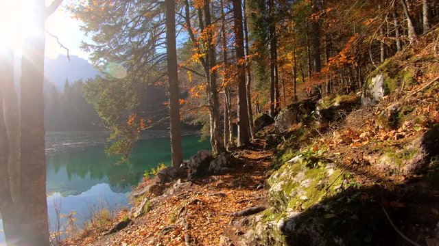 Walking forward moving on forest pathway in autumn season by Laghi di Fusine lake in Italy