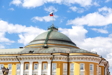 Fototapeta na wymiar Senate Palace at Moscow Kremlin, Russia