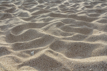 Fototapeta na wymiar Beautiful horizontal texture of yellow sand with waves and shells is in the photo
