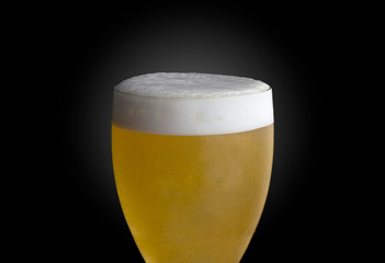 Copo com cerveja dourada e espuma em fundo de cor