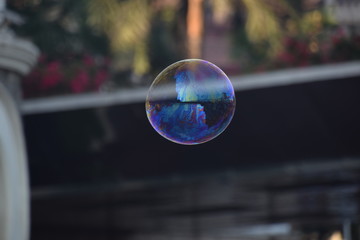soap bubbles in the sky