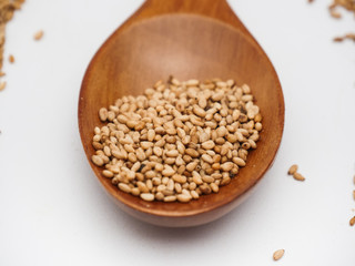 Toasted sesame seed on wood spoon 