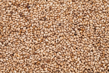 Lots of toasted sesame seeds at top view 