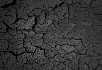 A dry cracked earth background