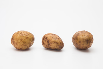 Row of Potatoes on White Background