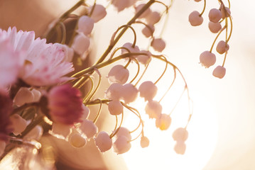 Fototapety  Wiosenne kwiaty