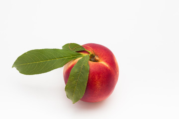 Fototapeta na wymiar A single of ripe peach