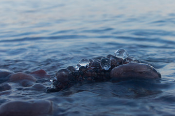 Fototapeta premium Frozen water balls on Lake Superior