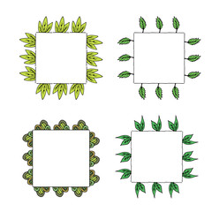 Four square frames with plant elements and green leaves. Isolated frames on white background for your design
