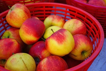 Baskets of fresh apples at a farmers market