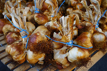 Dried heads of smoked garlic at a French farmers market