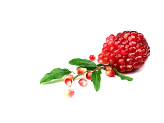 Pomegranate seeds, red fruits and leaves, isolated on a white background, herbs.