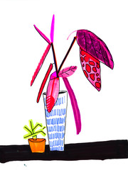 Houseplants in pots hand drawn watercolor illustration