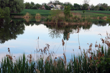 Idyllic picture of a quiet pond with reflection of reeds and a house in the distance