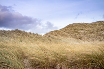 Dunes at the Sheskinmore Nature Reserve between Ardara and Portnoo in Donegal - Ireland