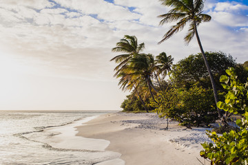 Traumstrand Petit St. Vincent, Grenadines, Karibik