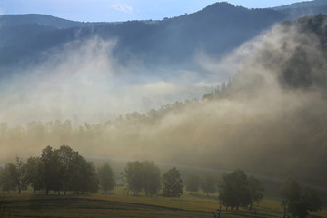 Morning mountain fog