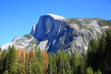 Half Dome in Yosemite Valley, California, USA