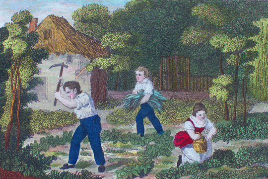 Two boys and girl do works in the garden in a vintage book La Ca