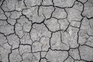 Abstract texture. Dry soil with cracks.