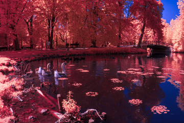Park in Infrared